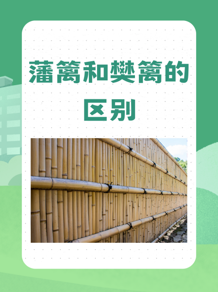 篱的组词
